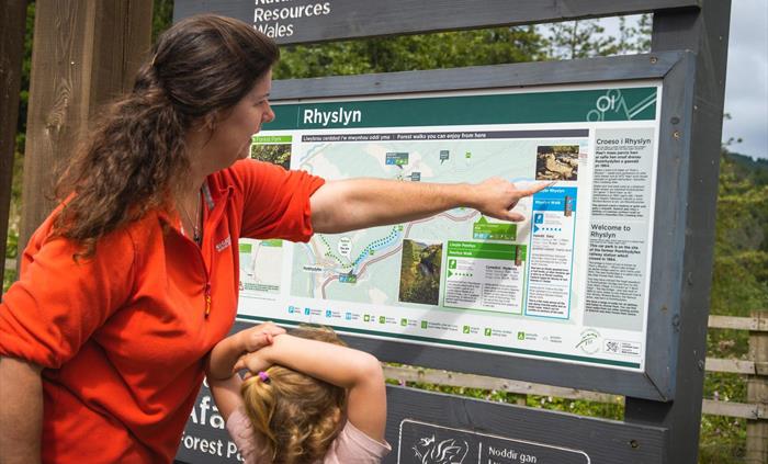 Afan Forest Park, Rhyslyn information panel